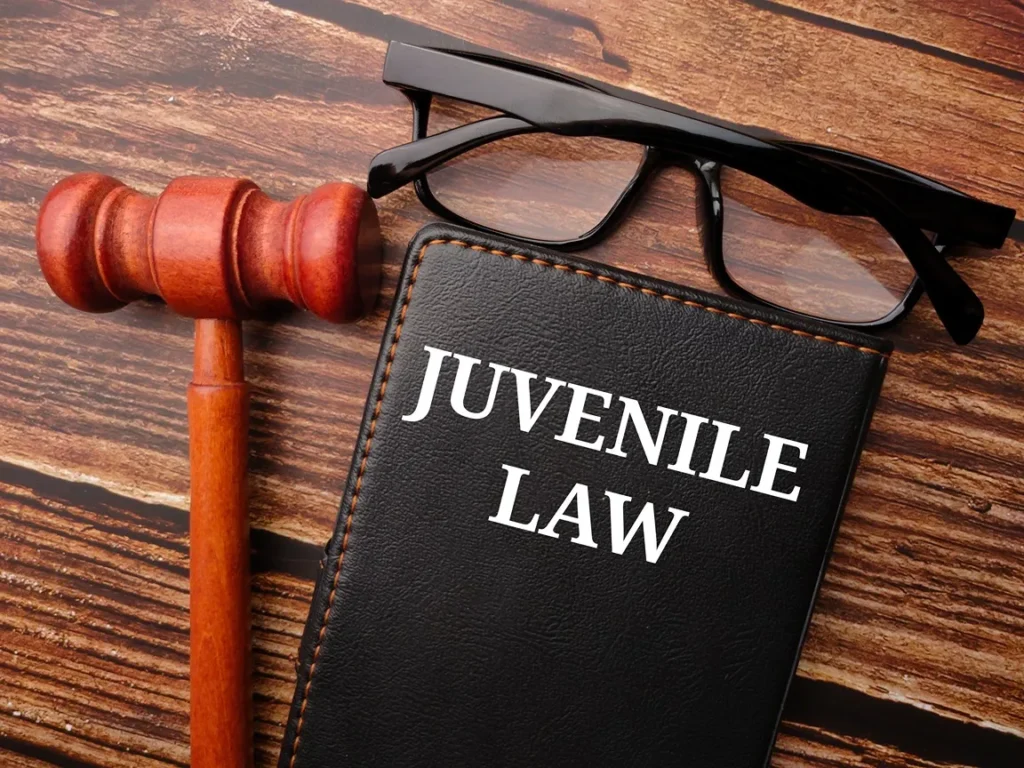 A folder that reads Juvenile Law.