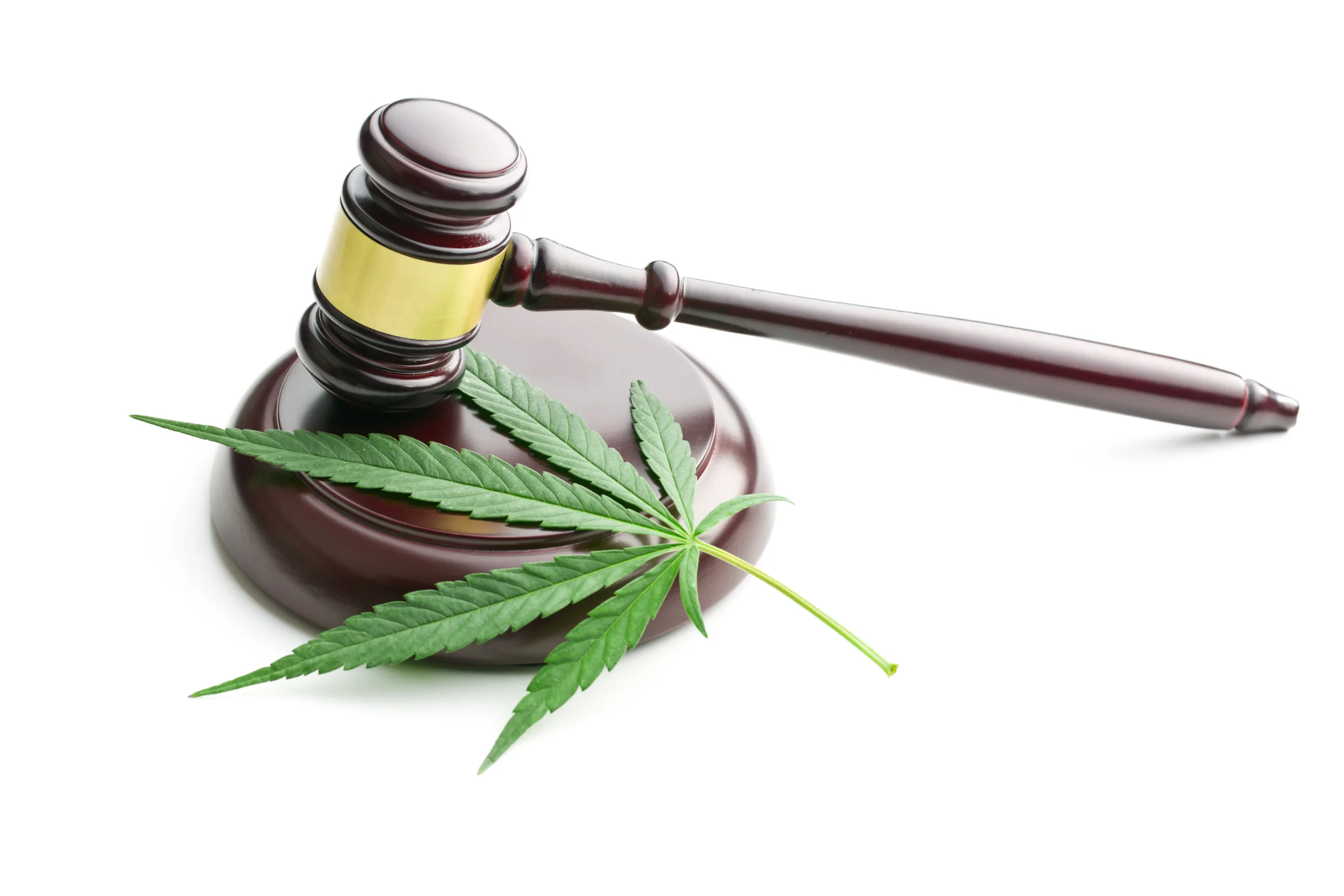 Texas Marijuana Laws: What You Need to Know